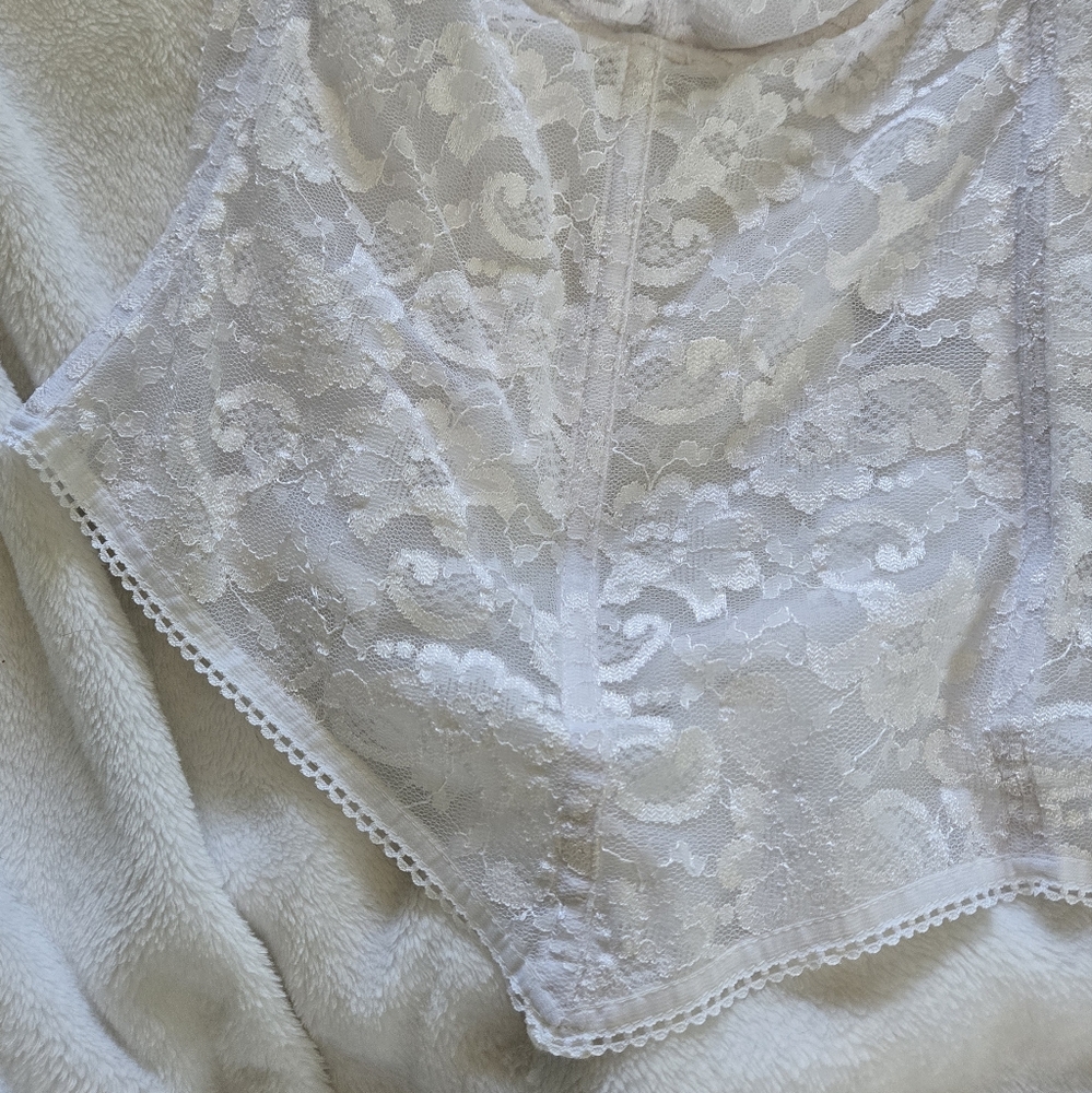 Vintage Lace Bustier/ Corset - Picture 3 of 7